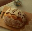 Baking Harbour