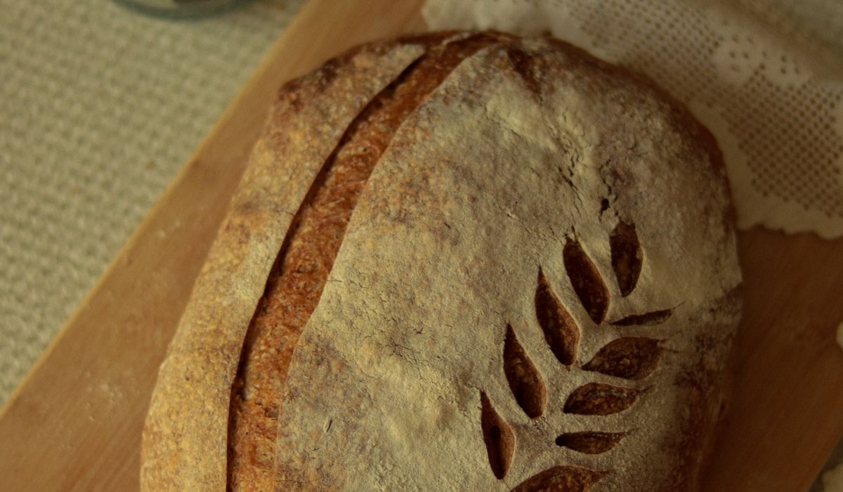 Baking Harbour